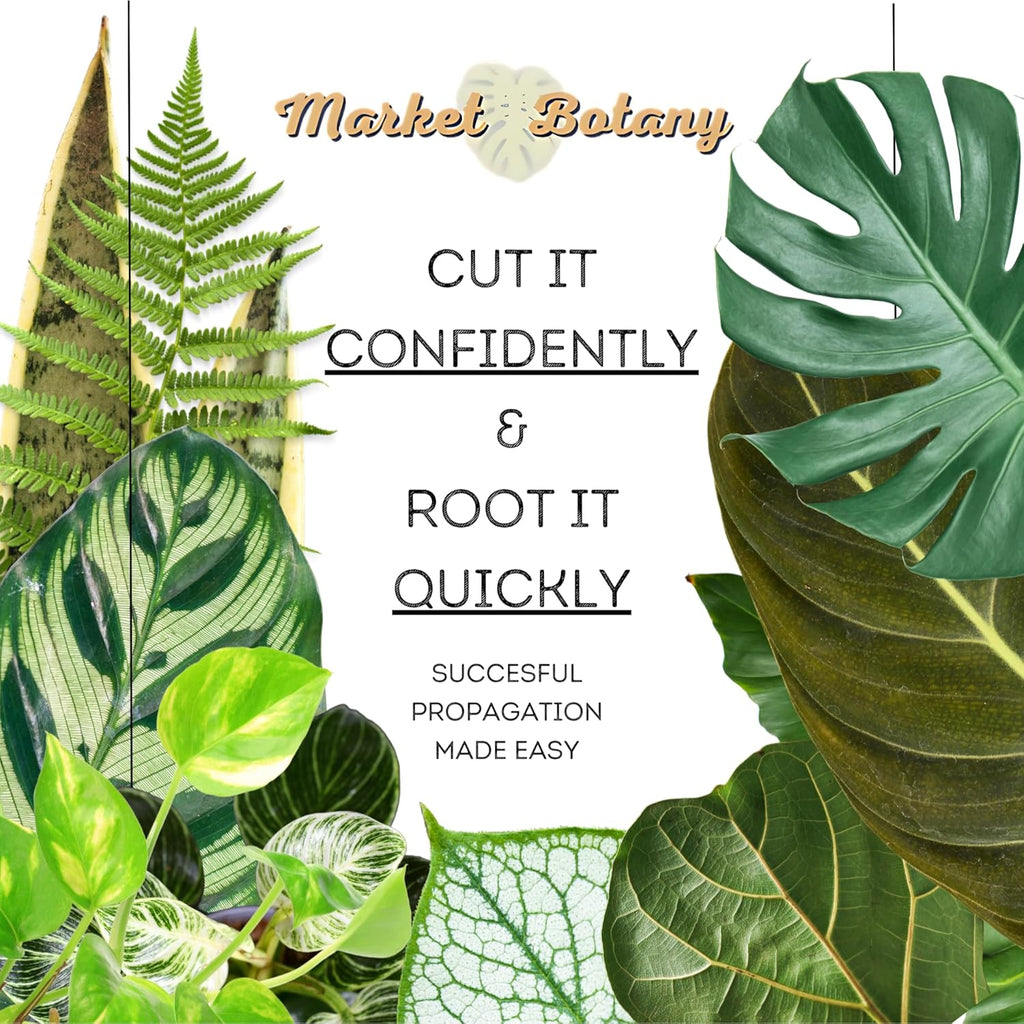 Prop Drops by Market Botany | 2-Pack
