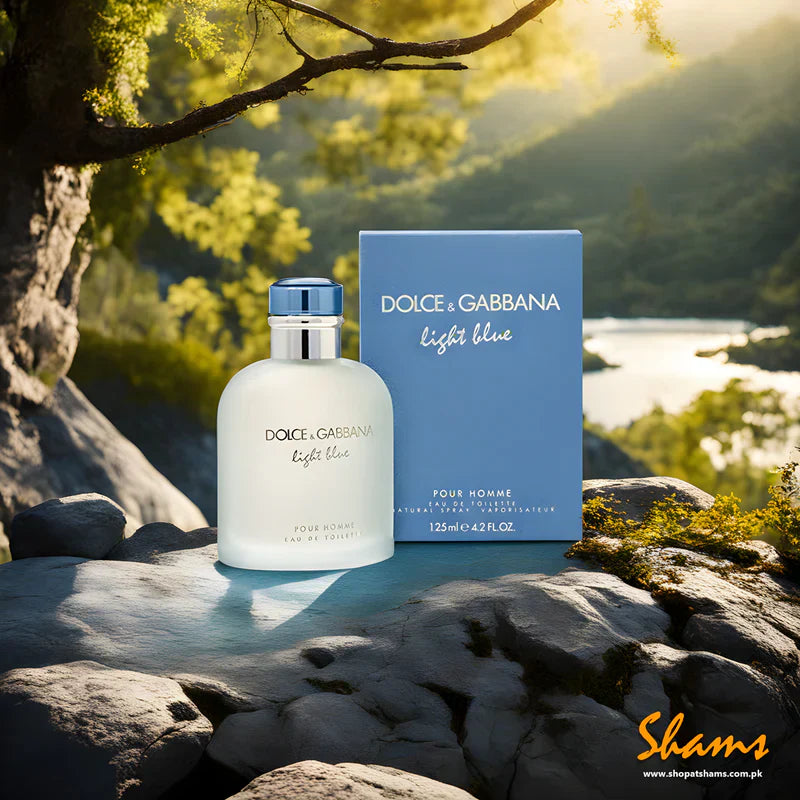 Dolce & Gabbana Light Blue Eau de Toilette 3.3 oz / 100ml for Women